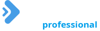 NEXO Professional 1