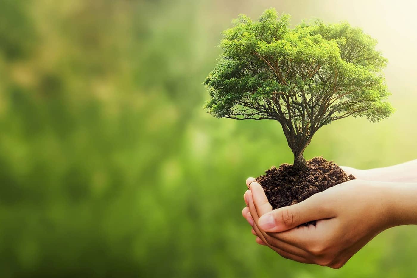 sistema-de-gestion-ambiental sistema de gestion ambiental